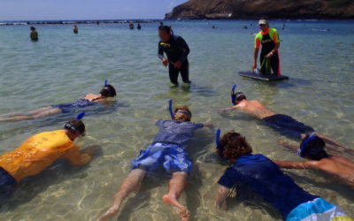 Stand Up Or Die: Snorkeling In Hawaii Is A Leading Cause Of Tourist Deaths