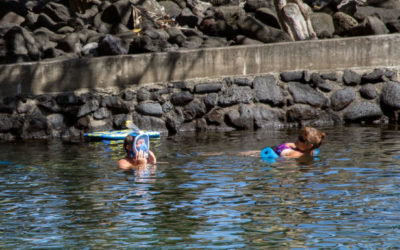 Hawaii Struggling To Find Out If Full-Face Snorkel Masks Are Dangerous