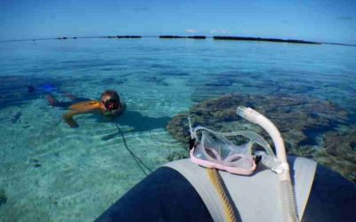 The Joy of Snorkeling